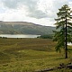 Улаганский район -  лиственница и два озера